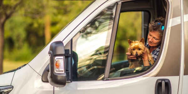 Camper van dog safety: Ensuring a safe journey for Your pet